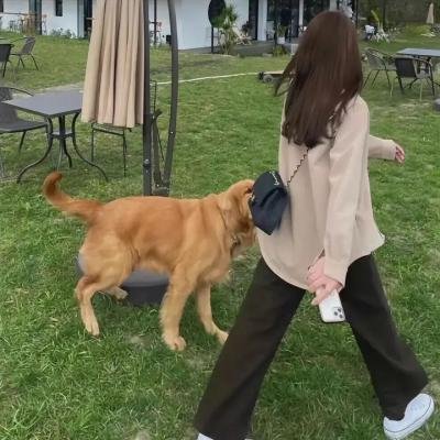 厄月惊魂曲